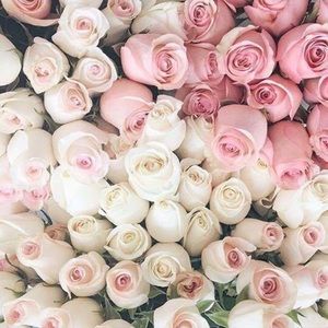 Meet your Posher, San